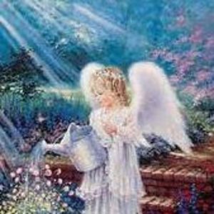 Meet your Posher, Judy